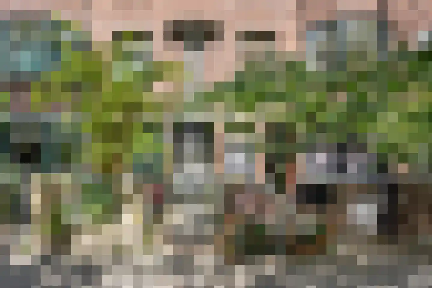 Caan van Necklaan 159 Rijswijk thumbnail 32