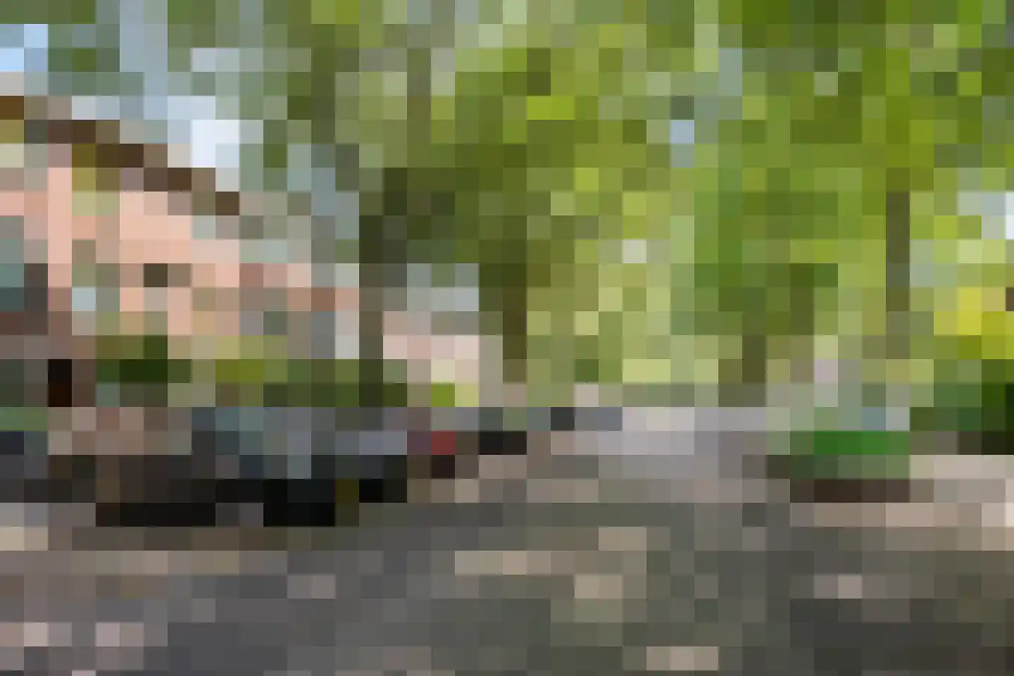 Caan van Necklaan 159 Rijswijk thumbnail 36