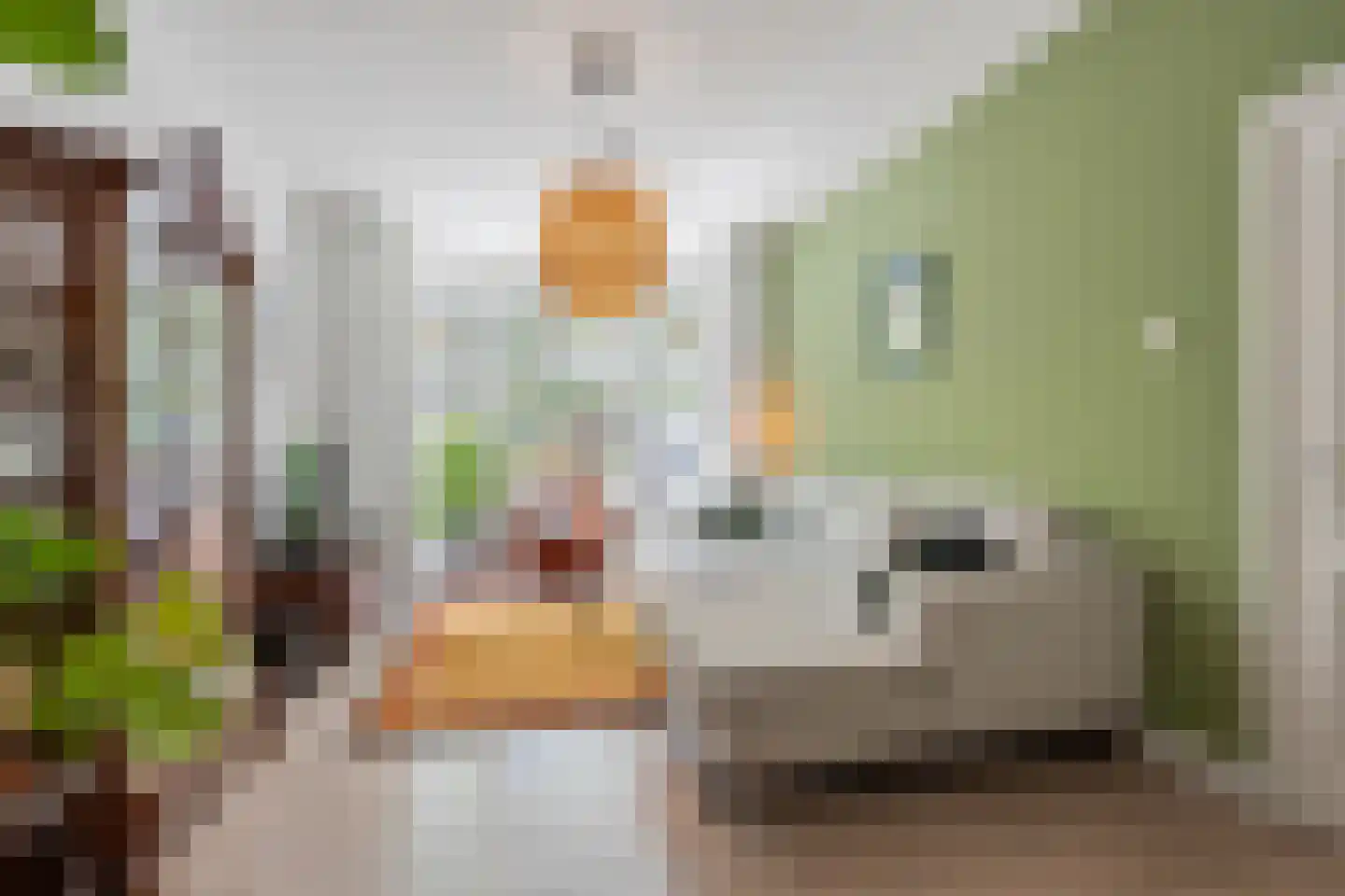 Caan van Necklaan 159 Rijswijk thumbnail 4