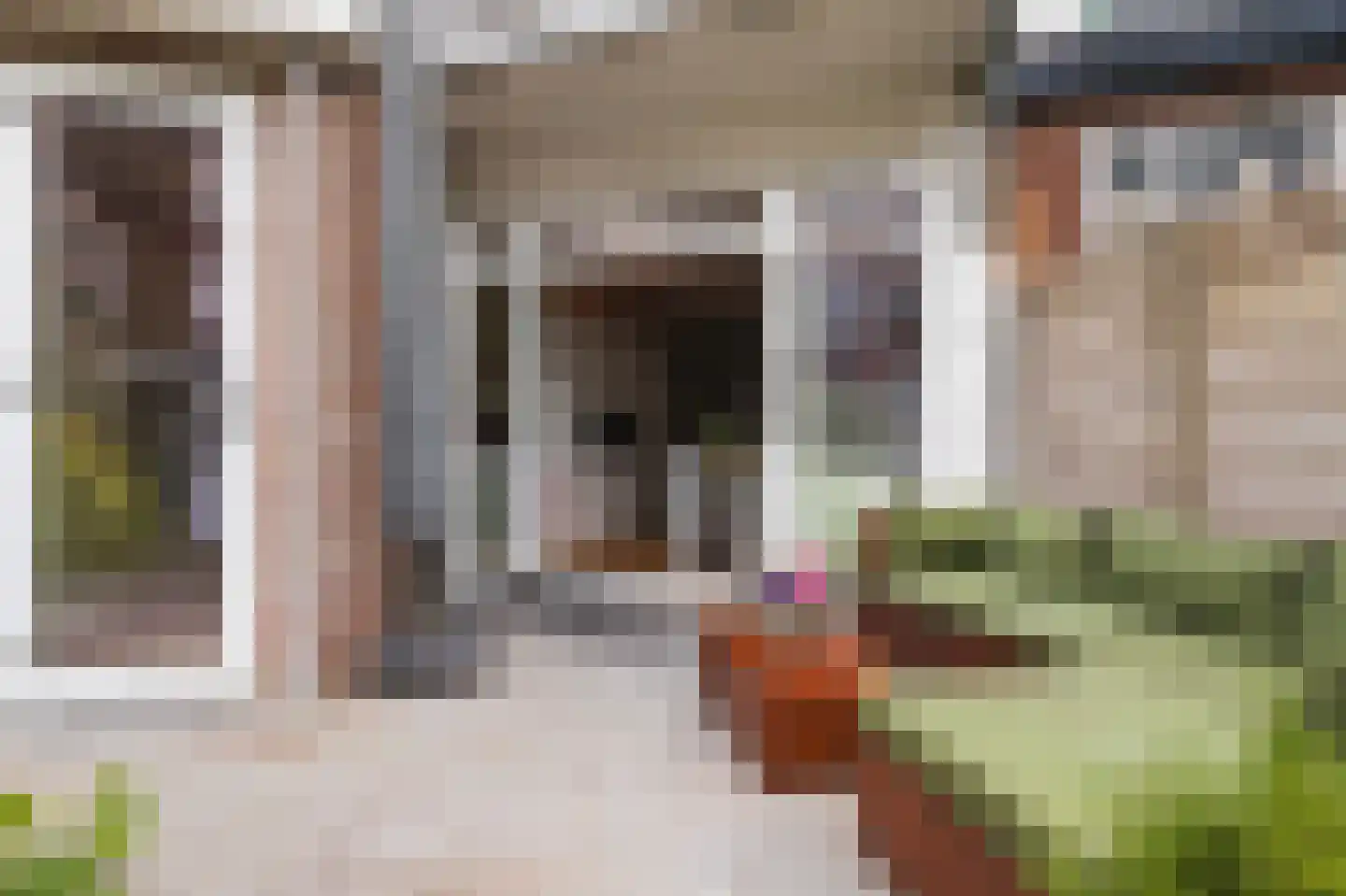 Caan van Necklaan 16 Rijswijk thumbnail 15