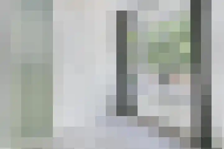 Caan van Necklaan 162 Rijswijk thumbnail 11