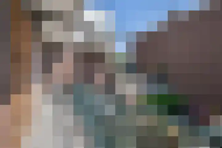 Caan van Necklaan 162 Rijswijk thumbnail 17