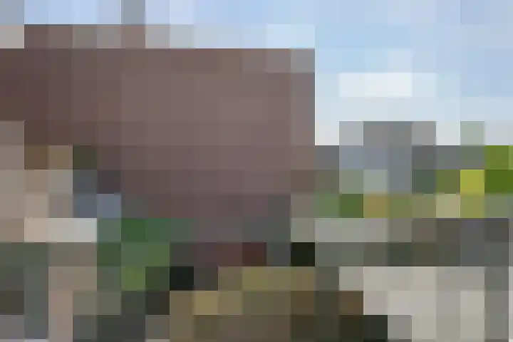 Caan van Necklaan 162 Rijswijk thumbnail 19