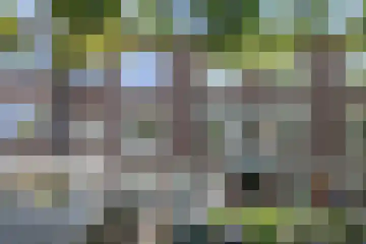 Caan van Necklaan 162 Rijswijk thumbnail 21