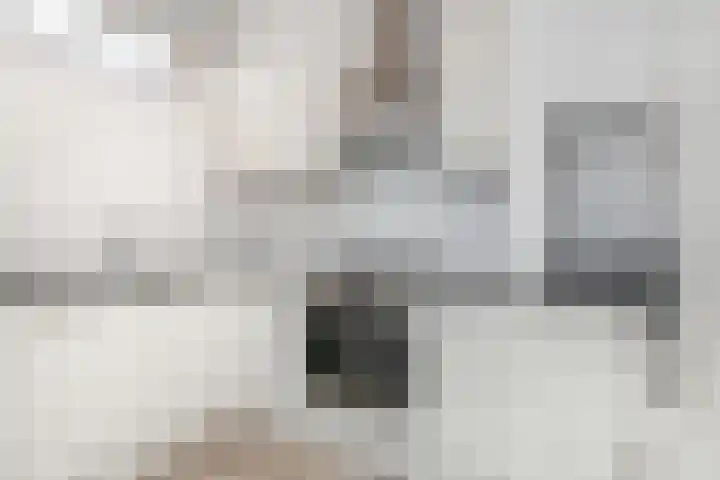 Caan van Necklaan 162 Rijswijk thumbnail 8