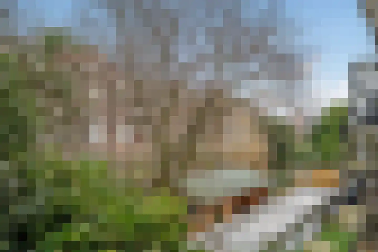 Caan van Necklaan 195 Rijswijk thumbnail 10