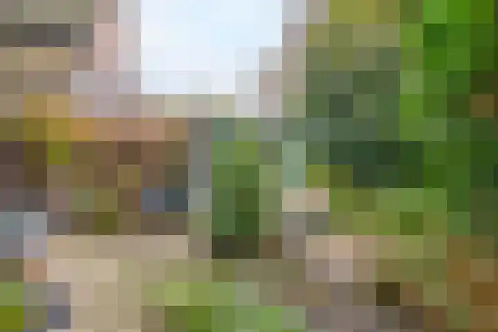 Caan van Necklaan 197 Rijswijk thumbnail 15