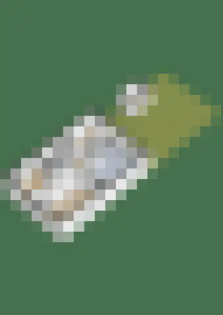 Caan van Necklaan 197 Rijswijk thumbnail 25