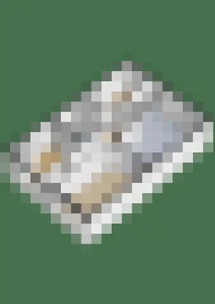 Caan van Necklaan 197 Rijswijk thumbnail 27
