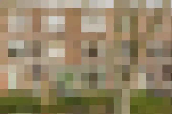 Caan van Necklaan 197 Rijswijk thumbnail 6