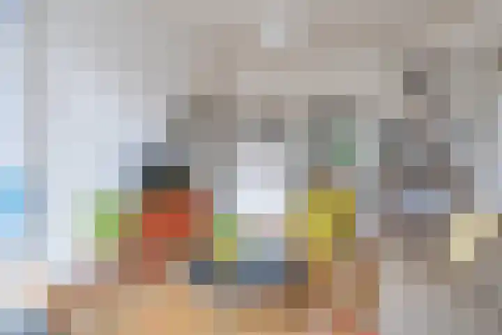 Caan van Necklaan 197 Rijswijk thumbnail 9