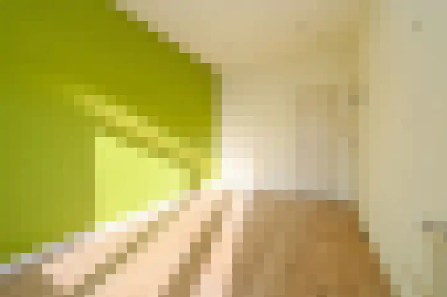 Caan van Necklaan 204 Rijswijk thumbnail 26