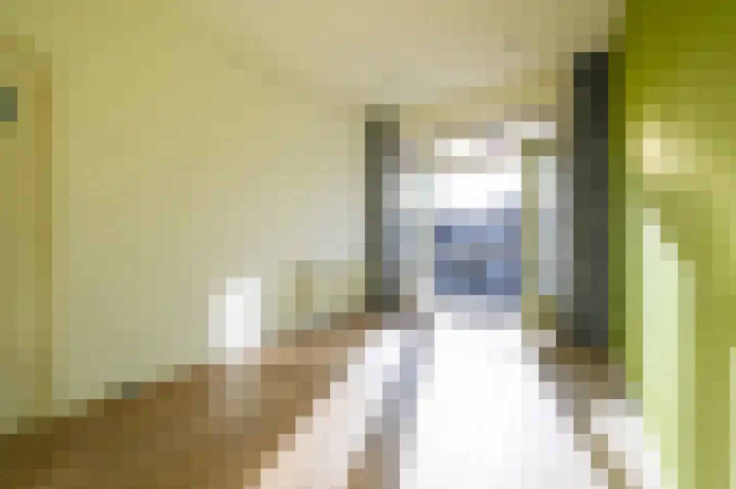 Caan van Necklaan 204 Rijswijk thumbnail 28