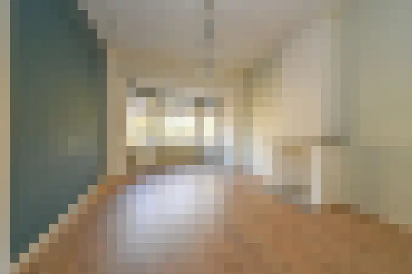 Caan van Necklaan 204 Rijswijk thumbnail 8