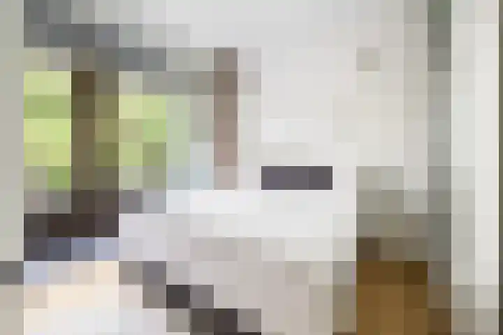 Caan van Necklaan 214 Rijswijk thumbnail 11