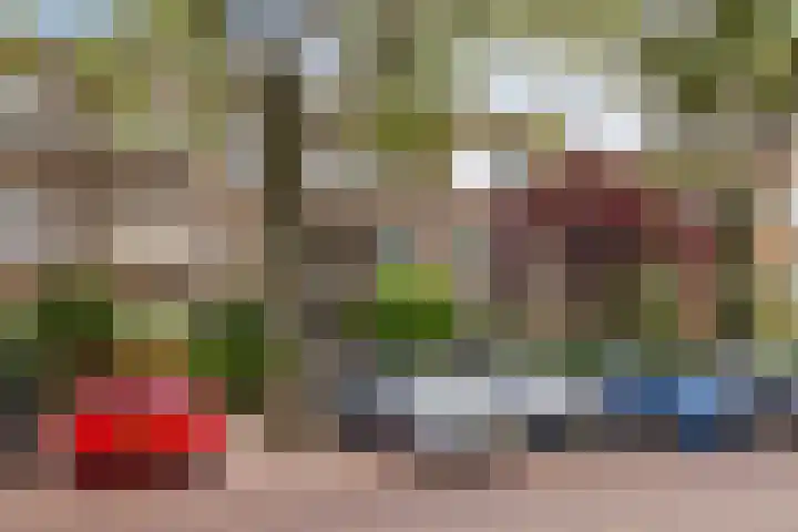 Caan van Necklaan 214 Rijswijk thumbnail 29
