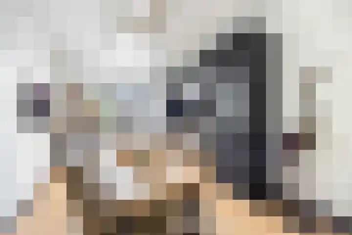 Caan van Necklaan 214 Rijswijk thumbnail 5