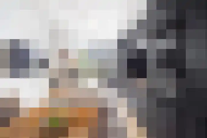Caan van Necklaan 214 Rijswijk thumbnail 8