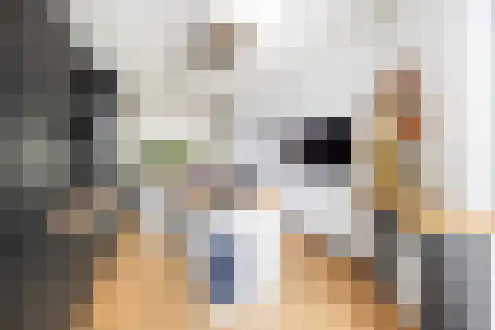 Caan van Necklaan 214 Rijswijk thumbnail 9
