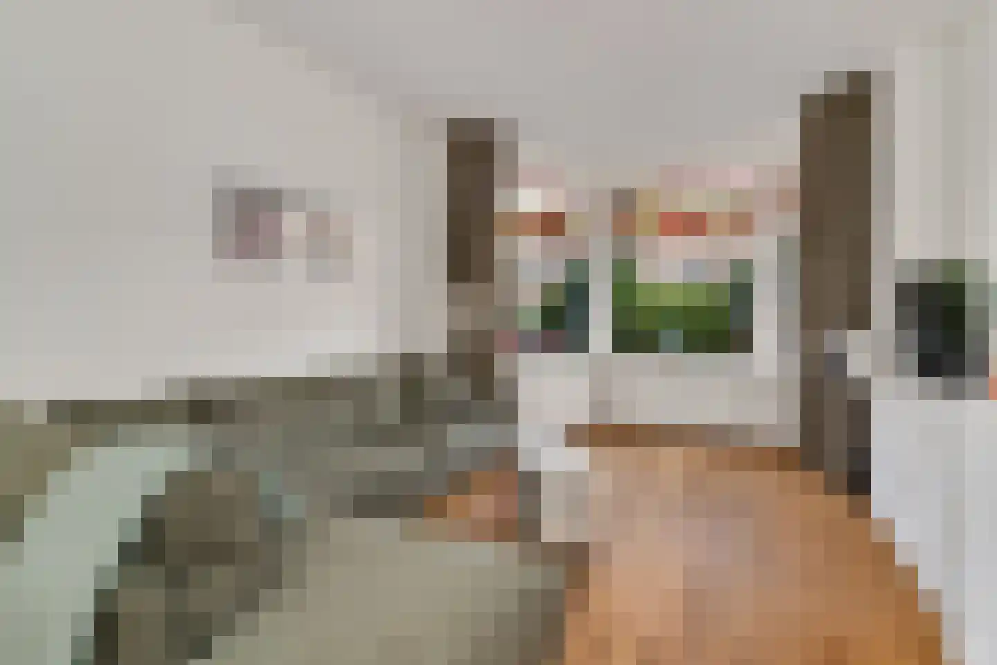 Caan van Necklaan 220 Rijswijk thumbnail 17