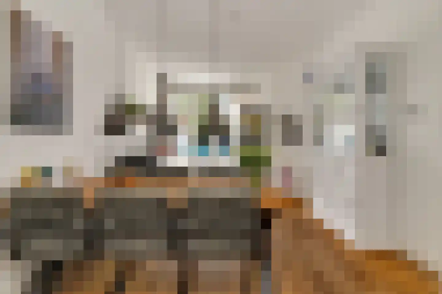 Caan van Necklaan 220 Rijswijk thumbnail 18
