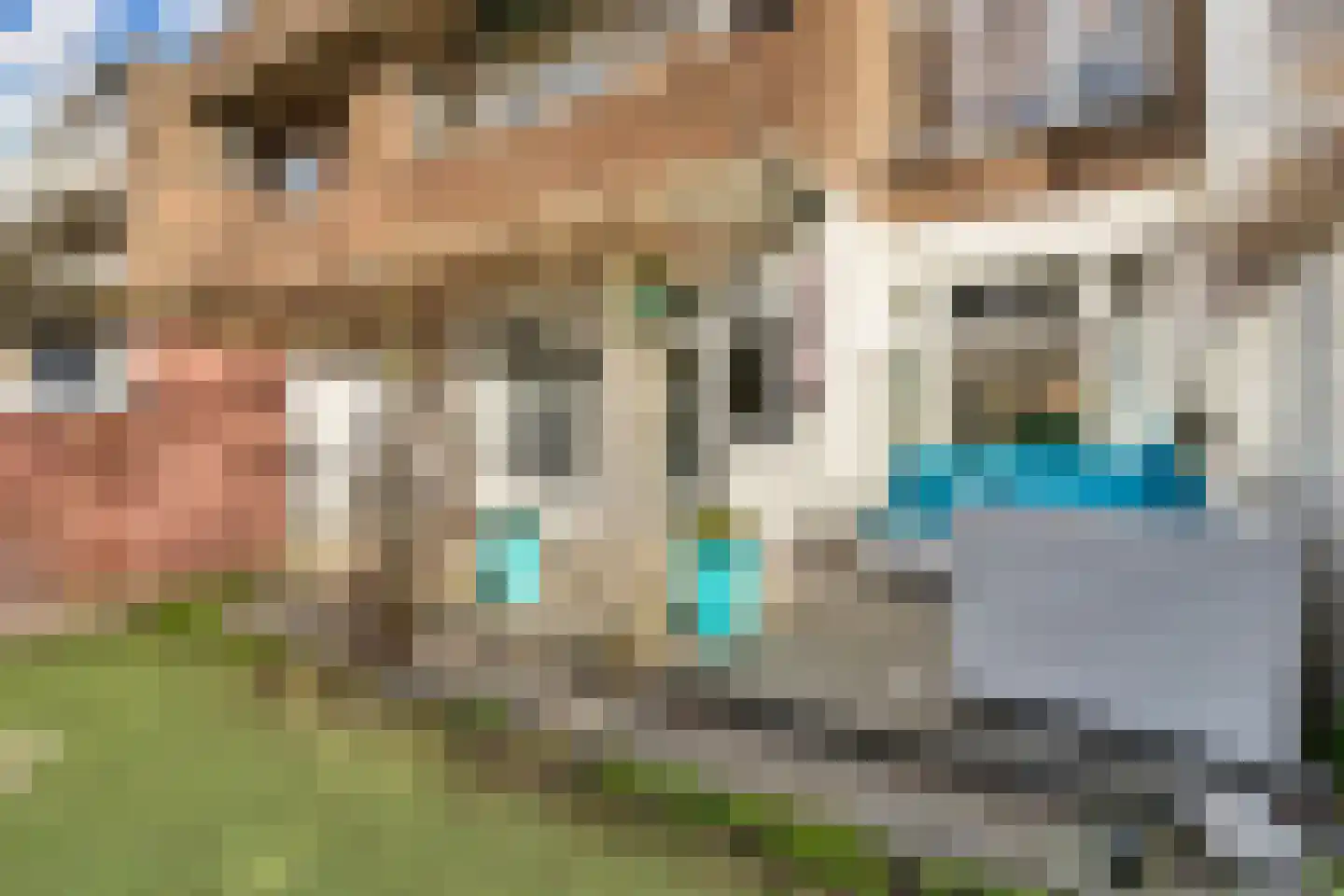 Caan van Necklaan 220 Rijswijk thumbnail 27
