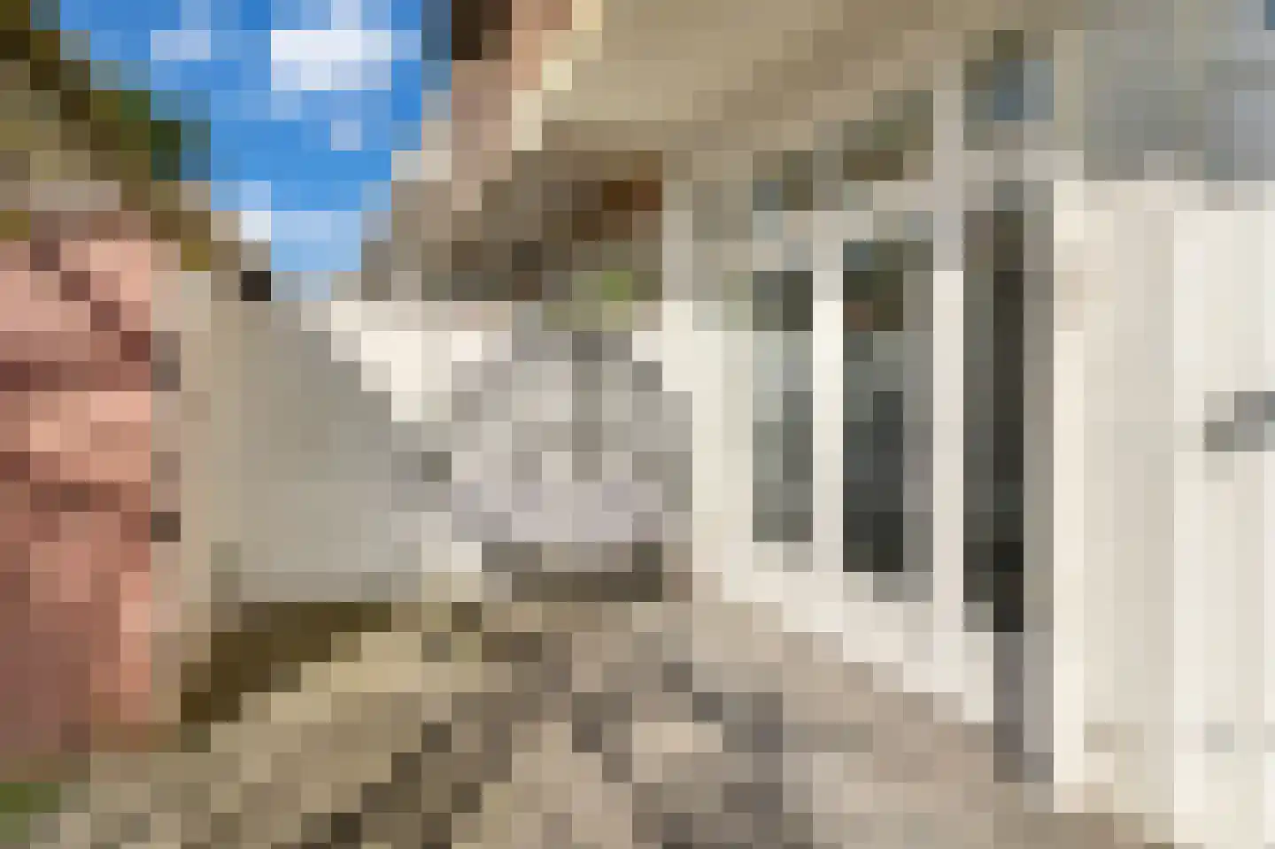 Caan van Necklaan 220 Rijswijk thumbnail 28