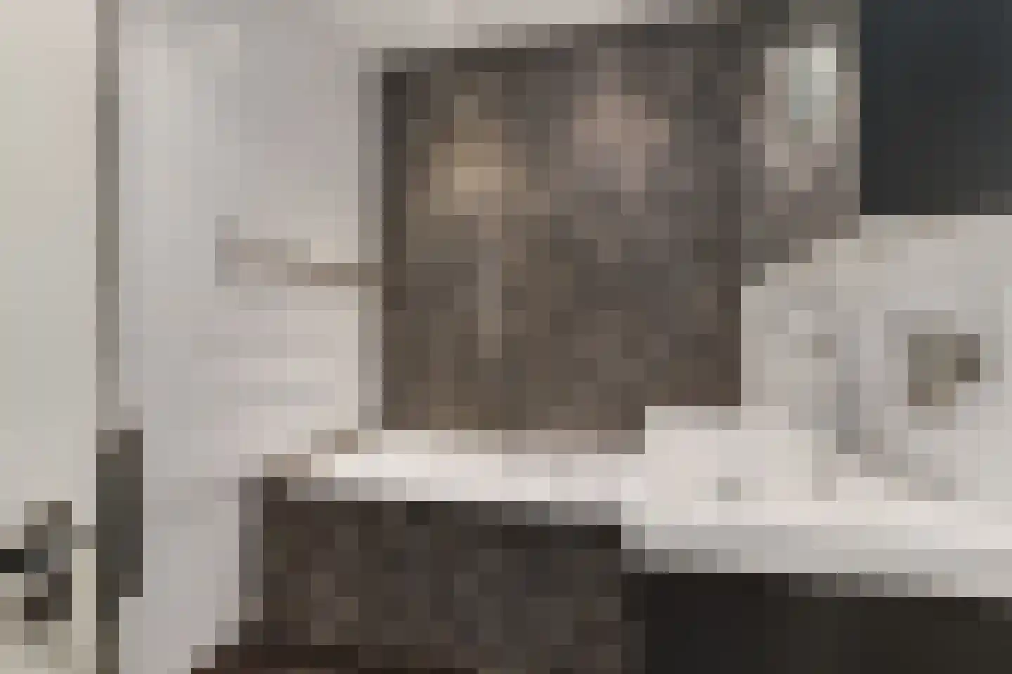 Caan van Necklaan 220 Rijswijk thumbnail 29