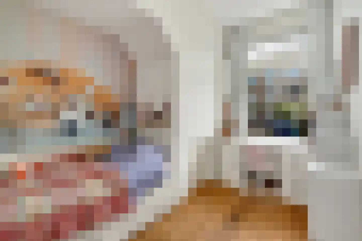 Caan van Necklaan 220 Rijswijk thumbnail 35