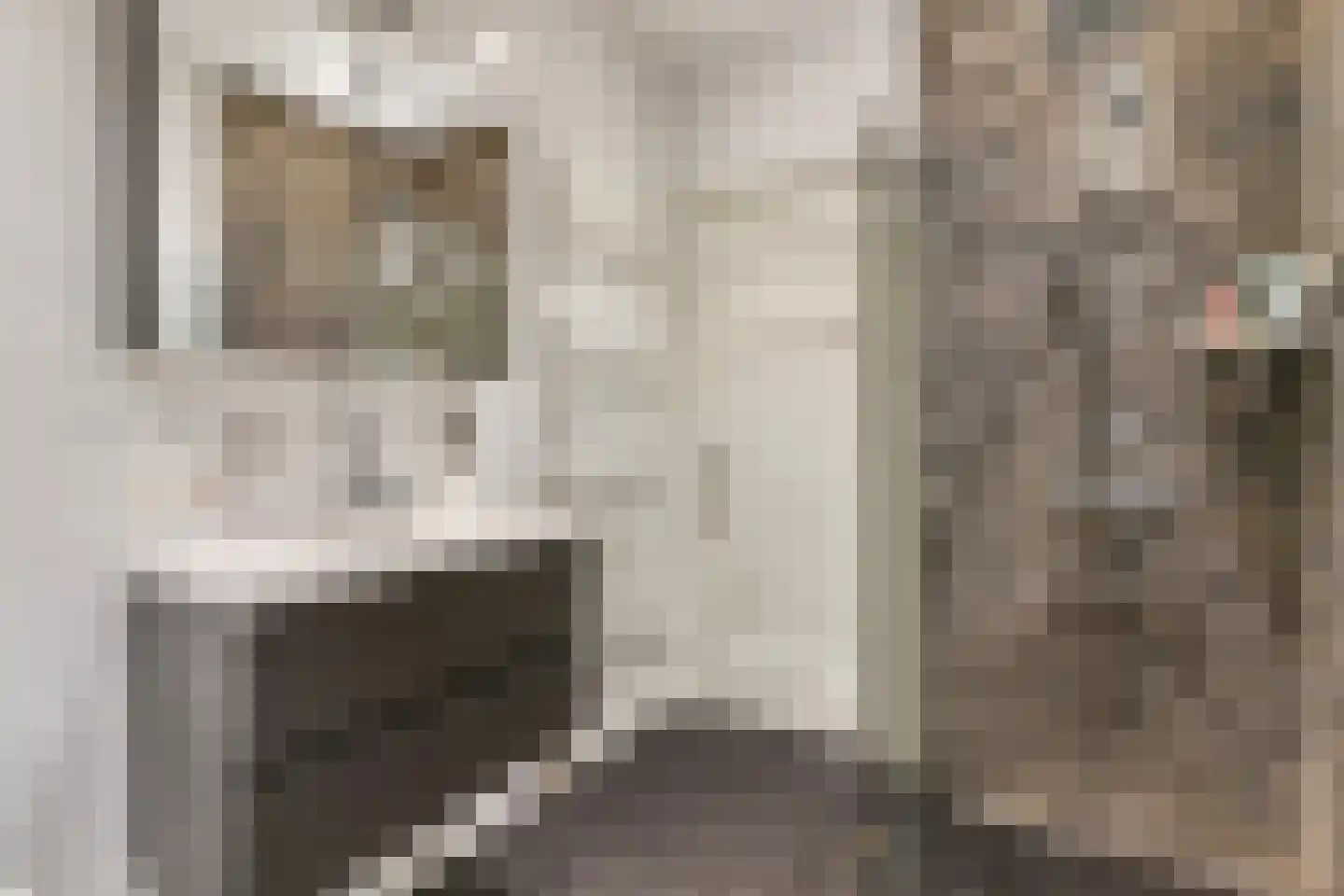 Caan van Necklaan 220 Rijswijk thumbnail 5