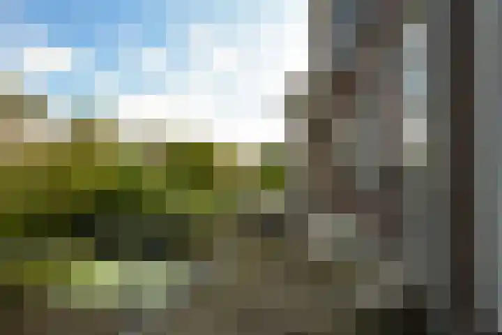 Caan van Necklaan 25 Rijswijk thumbnail 24