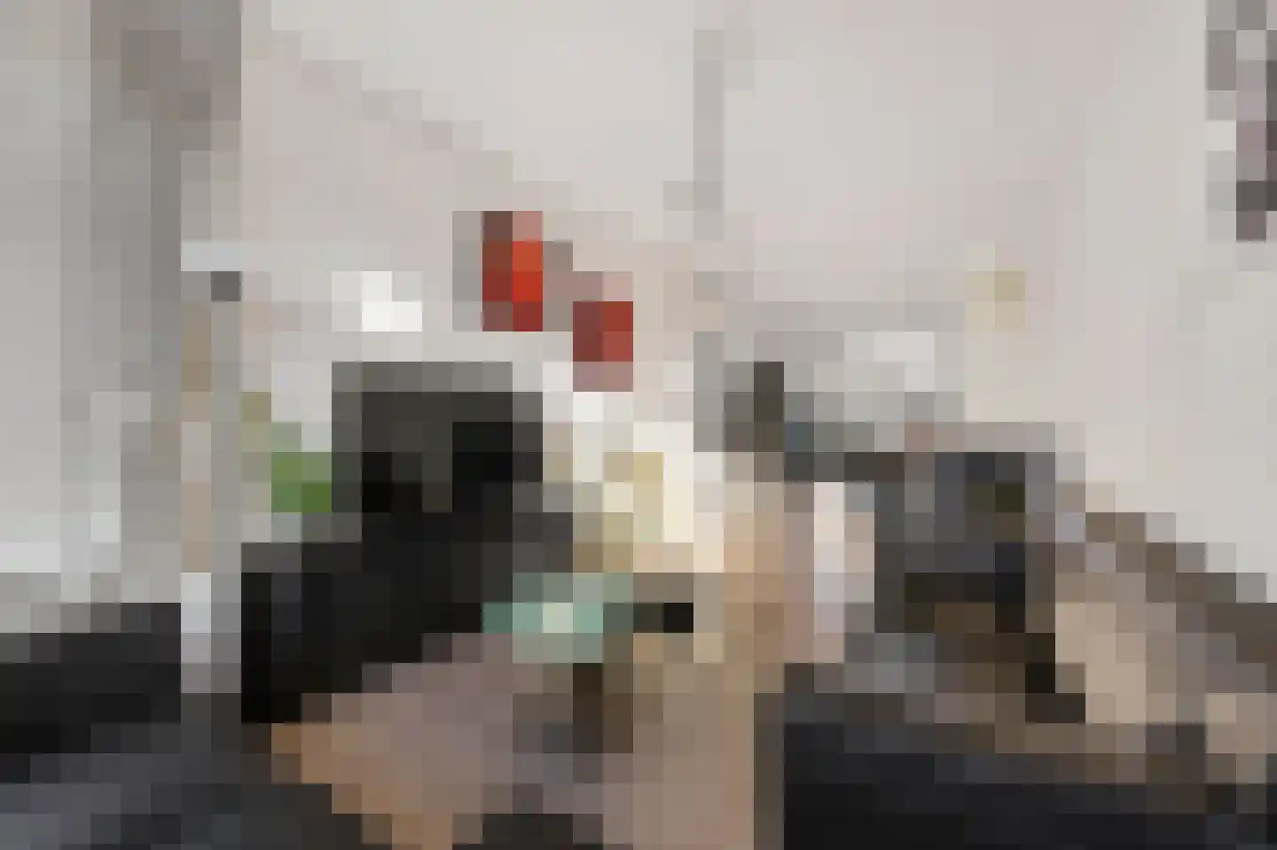 Caan van Necklaan 255 Rijswijk thumbnail 10