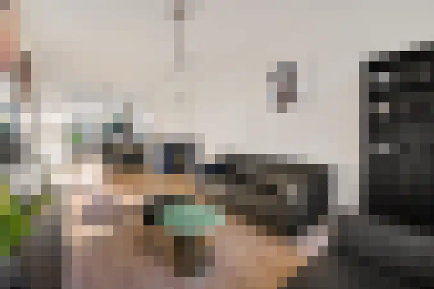 Caan van Necklaan 255 Rijswijk thumbnail 11