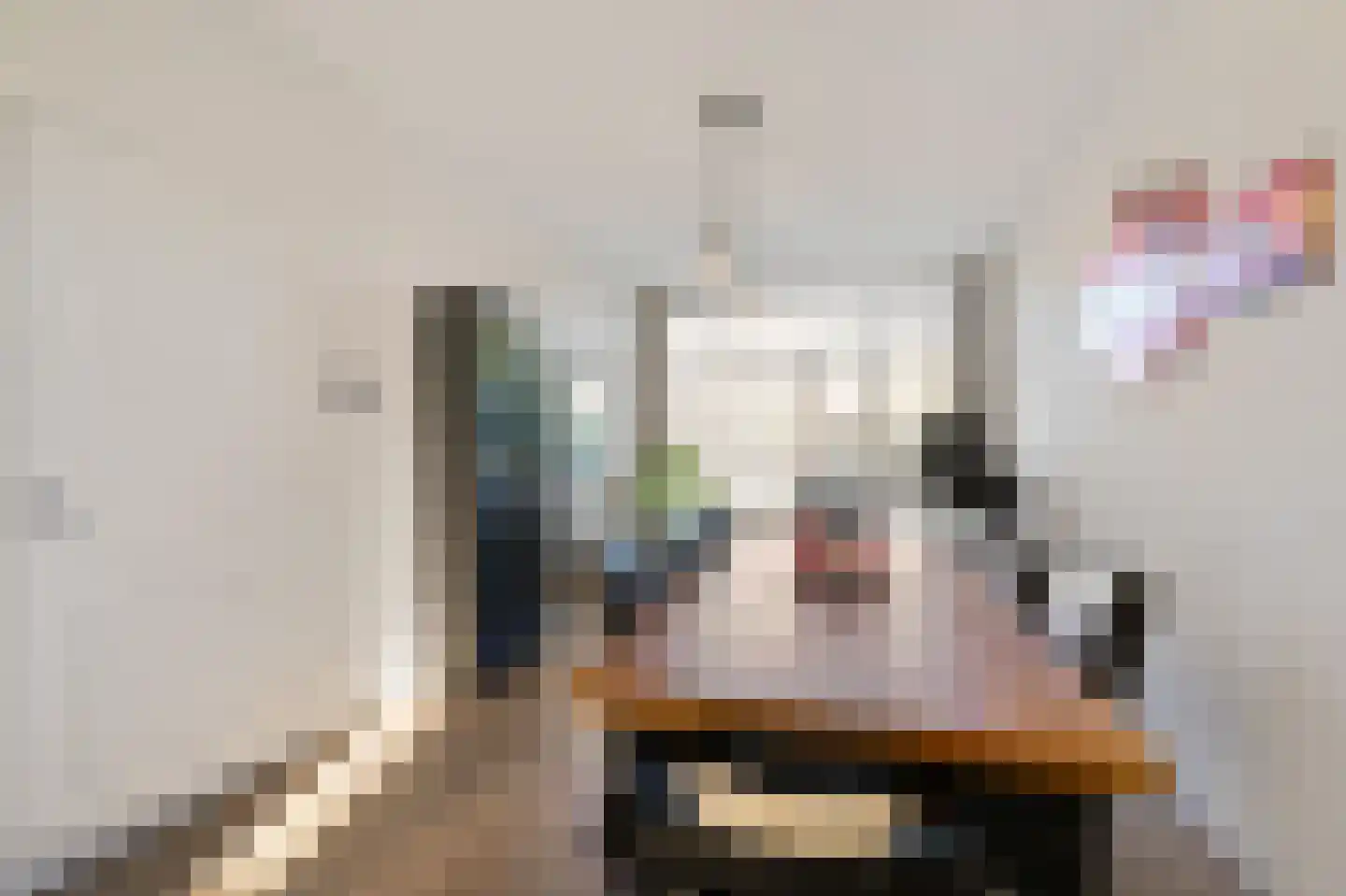 Caan van Necklaan 255 Rijswijk thumbnail 13