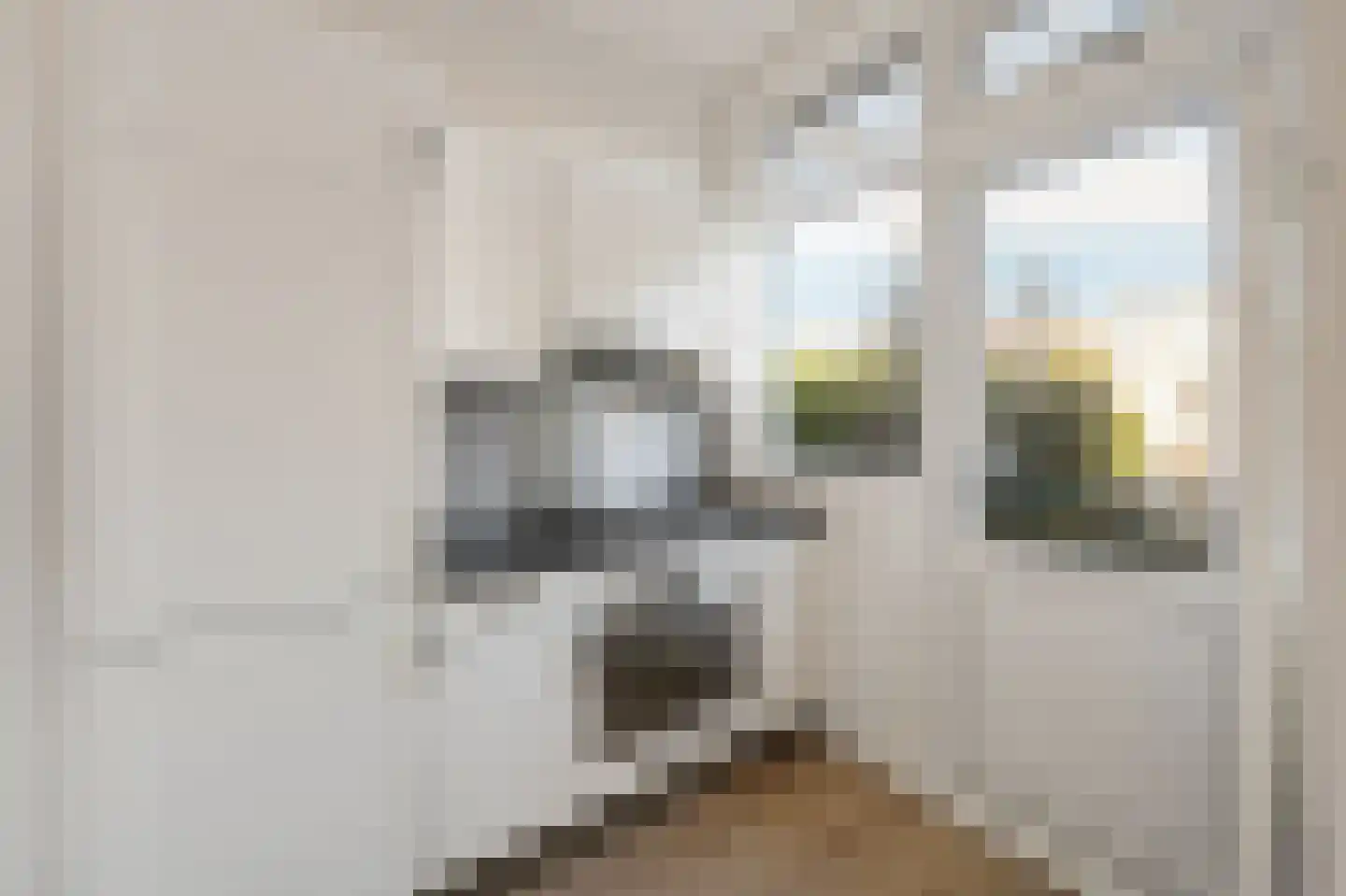 Caan van Necklaan 255 Rijswijk thumbnail 17
