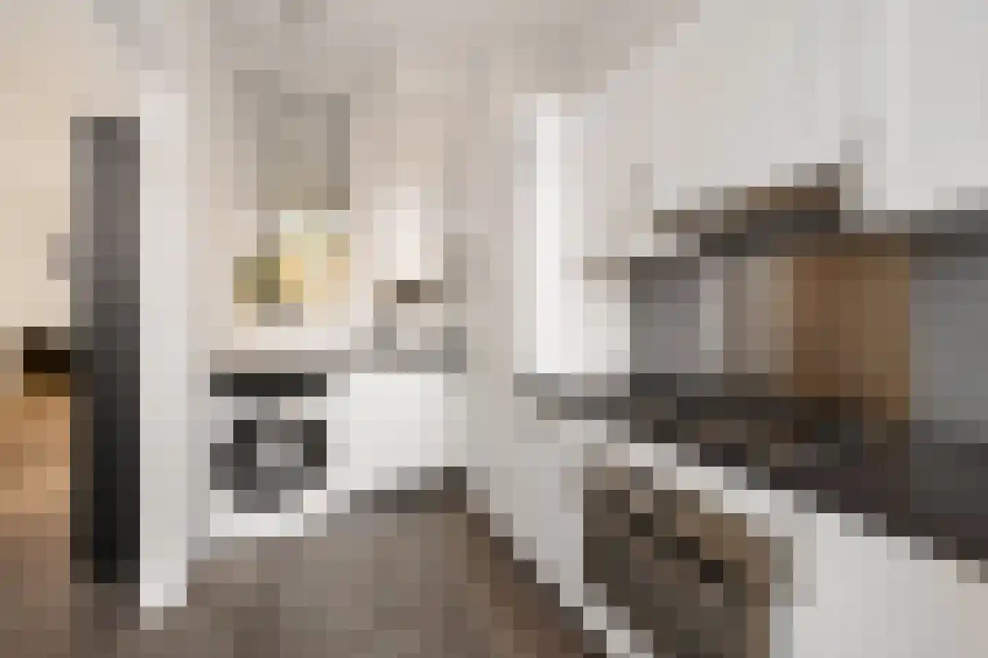 Caan van Necklaan 255 Rijswijk thumbnail 18