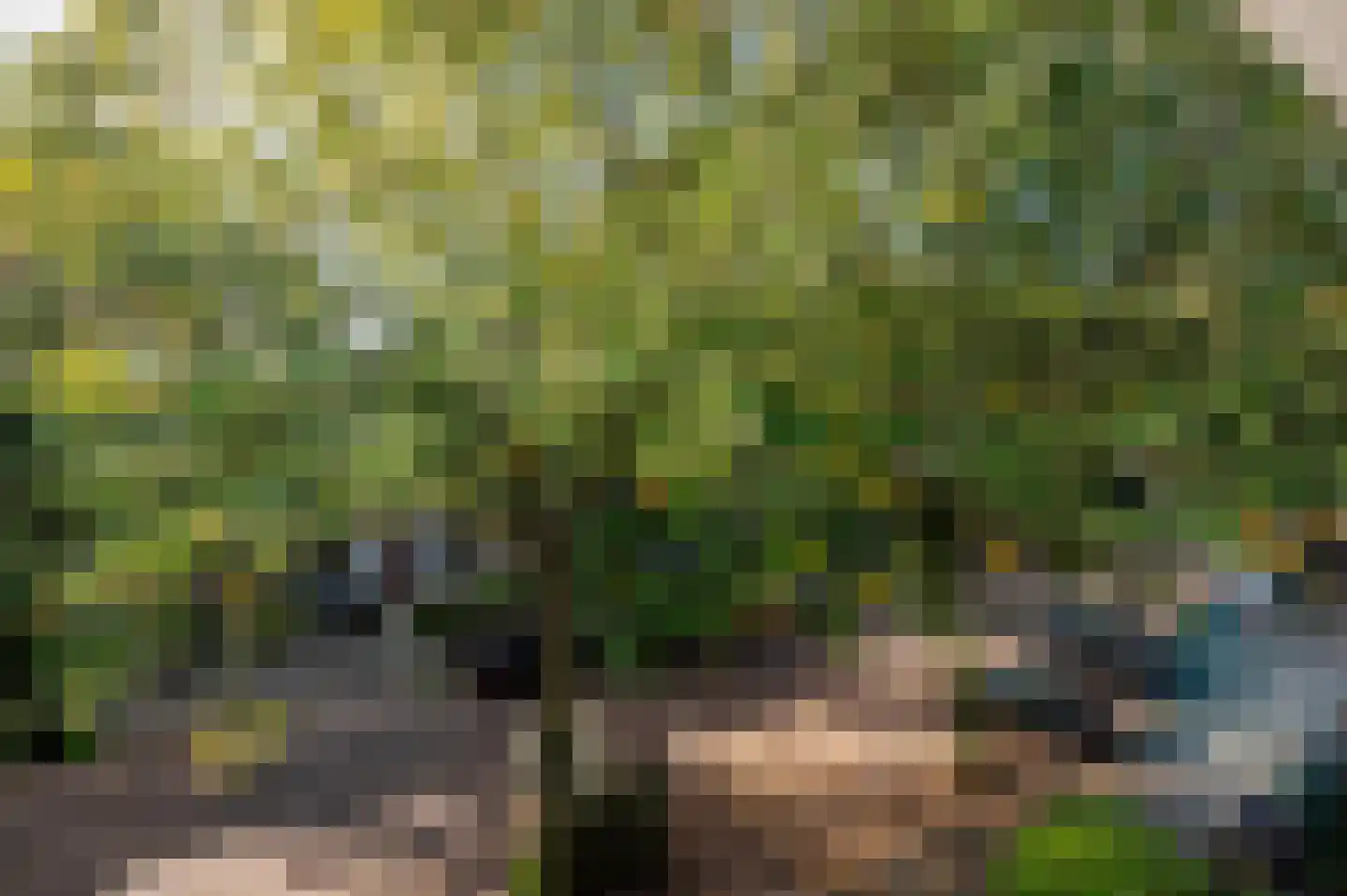 Caan van Necklaan 263 Rijswijk thumbnail 16