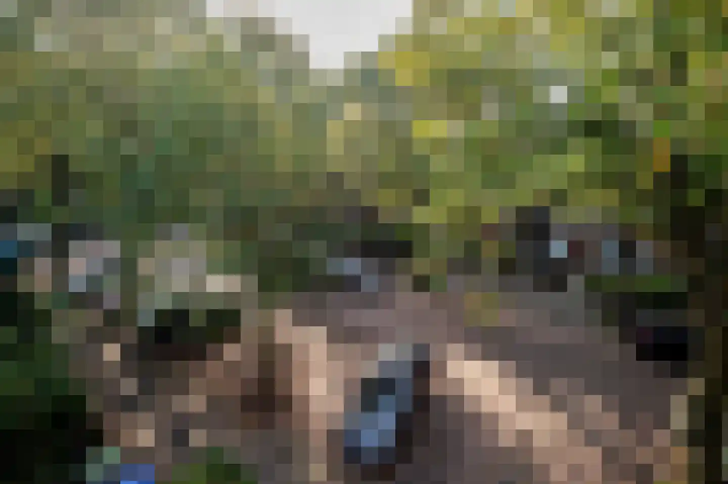 Caan van Necklaan 263 Rijswijk thumbnail 17