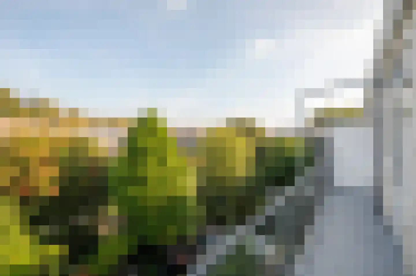 Caan van Necklaan 263 Rijswijk thumbnail 27