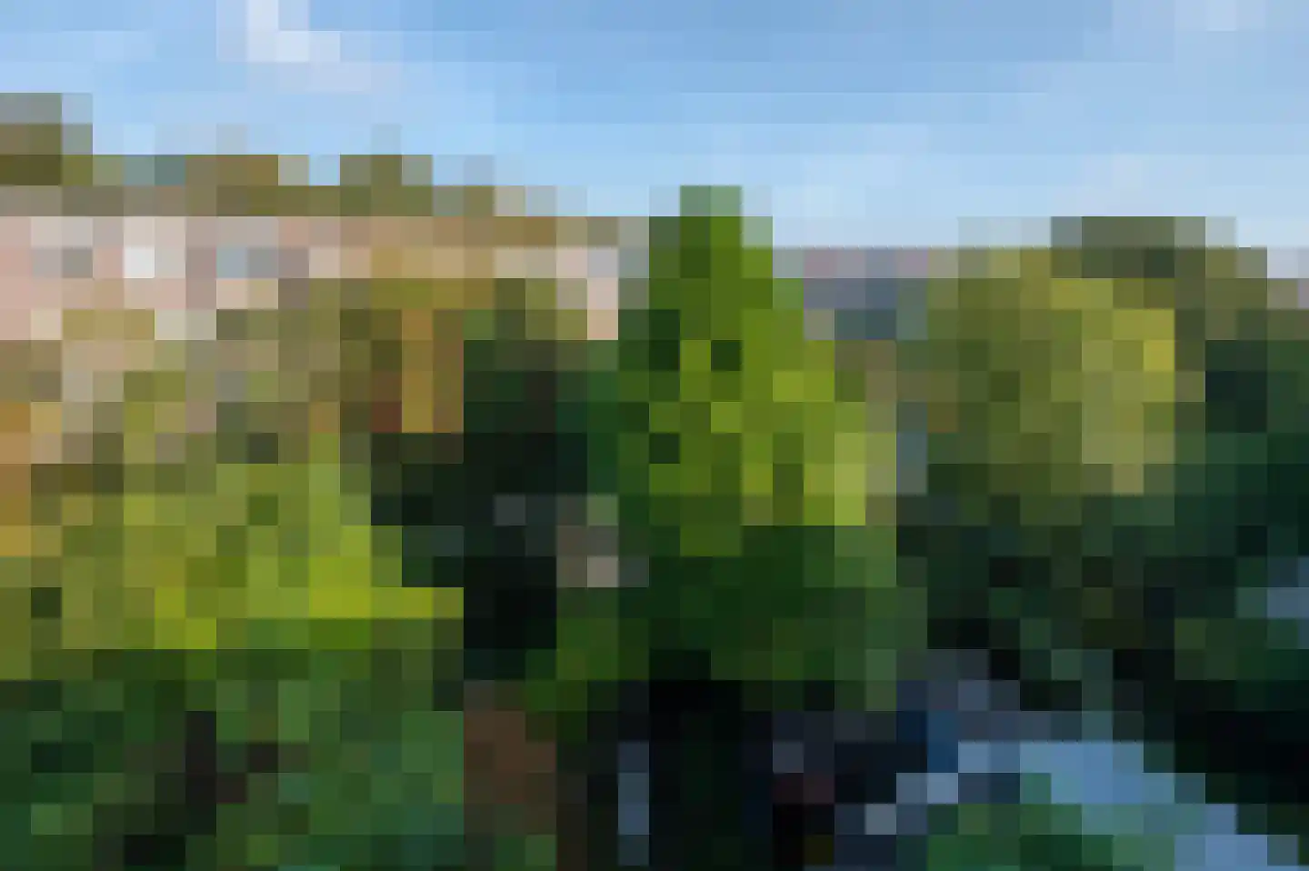 Caan van Necklaan 263 Rijswijk thumbnail 29
