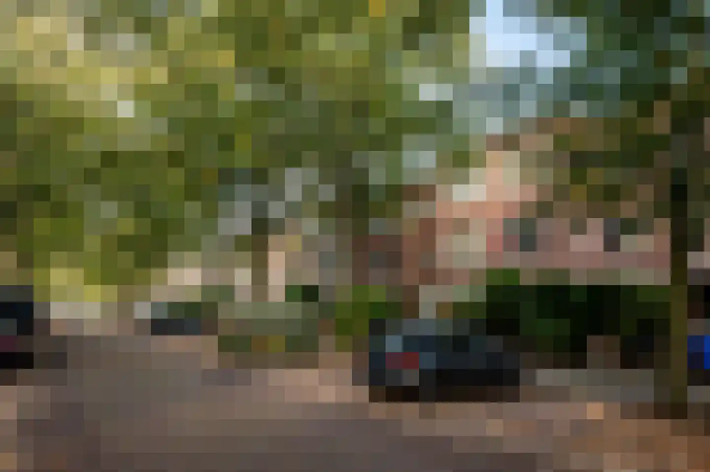 Caan van Necklaan 263 Rijswijk thumbnail 44