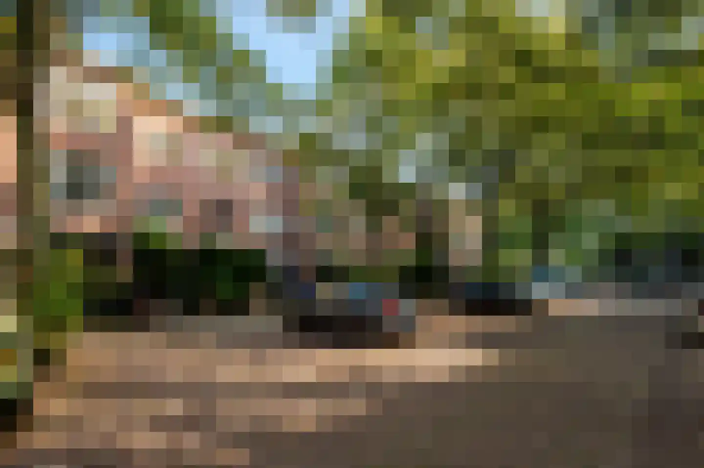 Caan van Necklaan 263 Rijswijk thumbnail 45