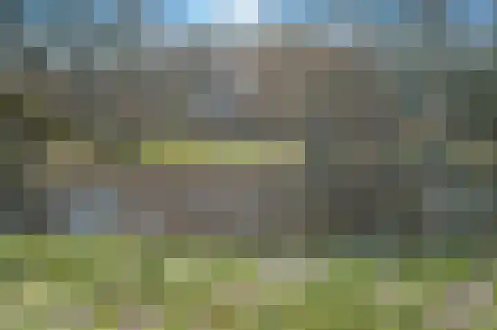 Caan van Necklaan 266 Rijswijk thumbnail 41