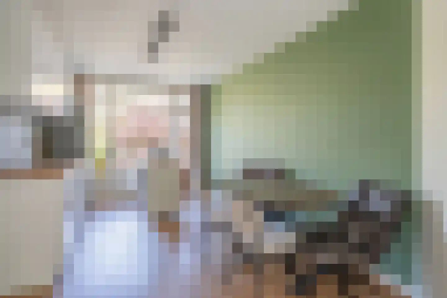 Caan van Necklaan 279 Rijswijk thumbnail 10