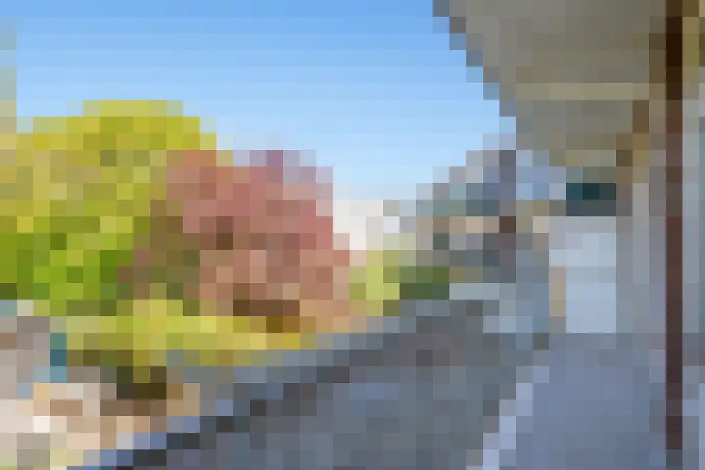 Caan van Necklaan 279 Rijswijk thumbnail 14