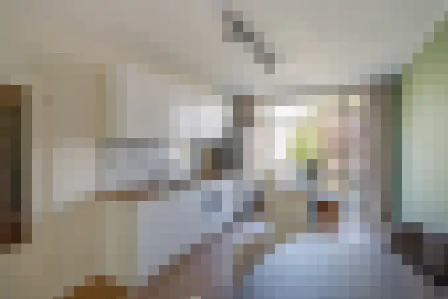 Caan van Necklaan 279 Rijswijk thumbnail 4