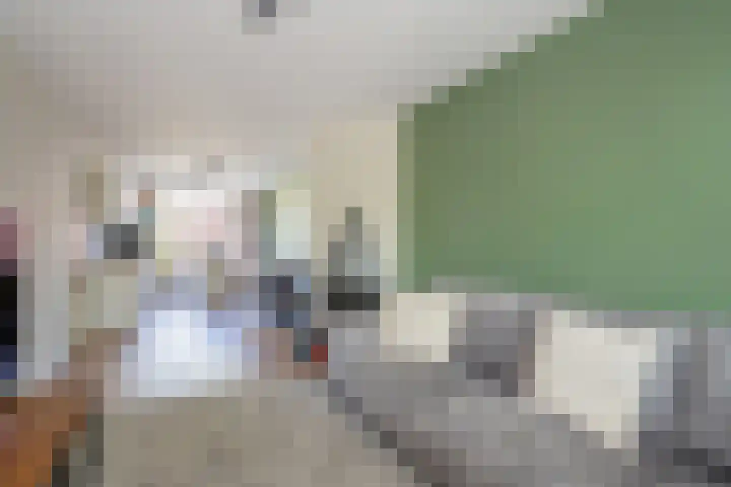 Caan van Necklaan 279 Rijswijk thumbnail 7