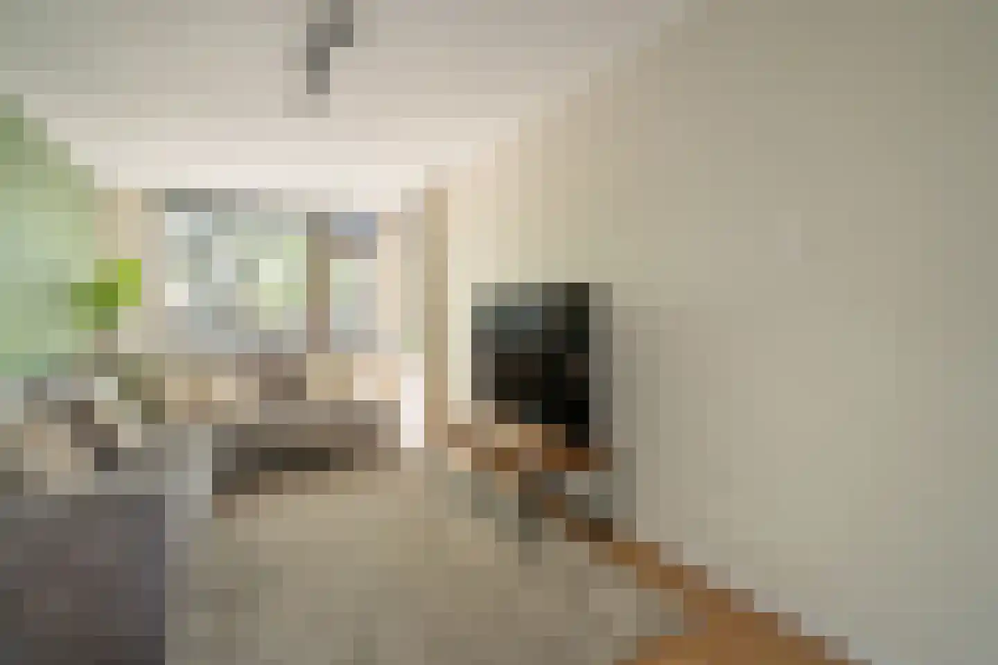 Caan van Necklaan 279 Rijswijk thumbnail 8