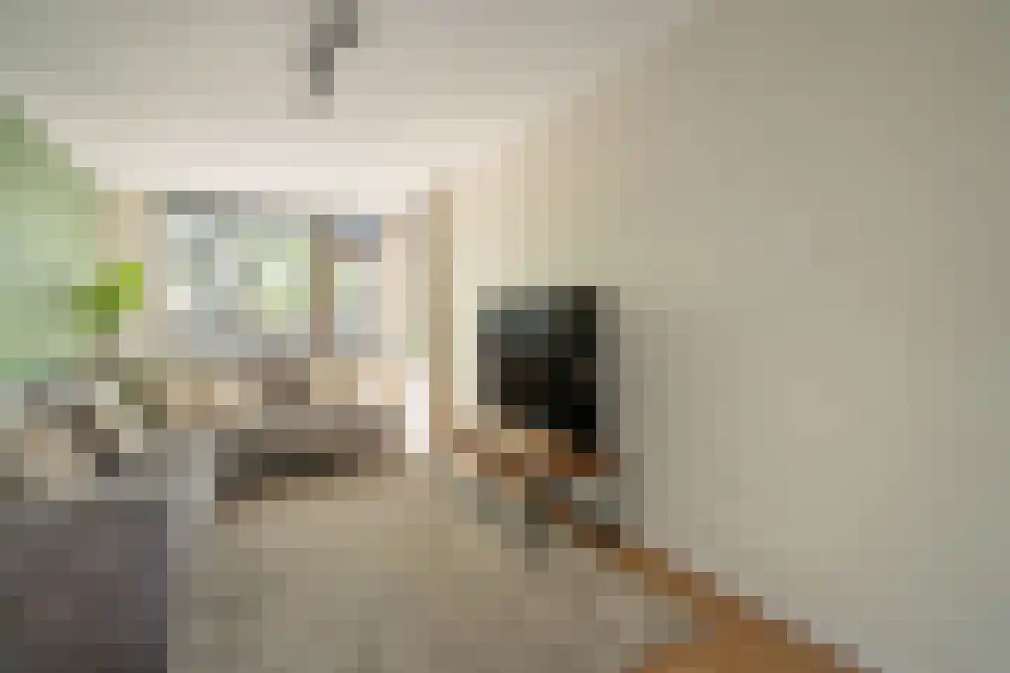 Caan van Necklaan 279 Rijswijk thumbnail 9