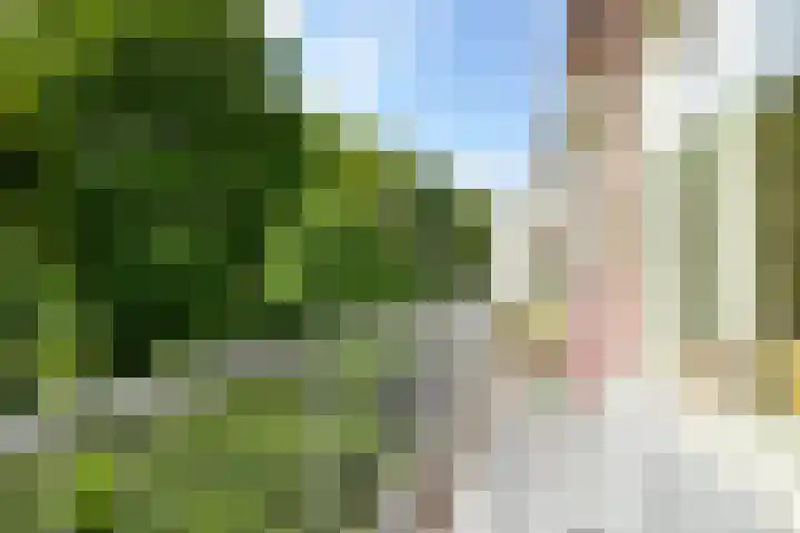 Caan van Necklaan 288 Rijswijk thumbnail 13